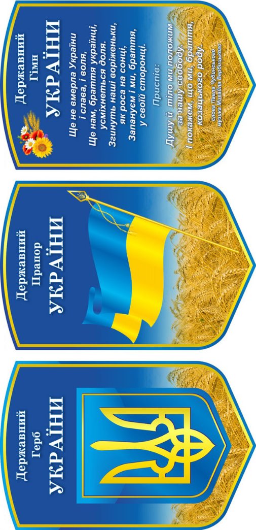 Державні символи України. Щит 31х47 см., цена 312 грн., купить Рокитне —  Prom.ua (ID#719135224)